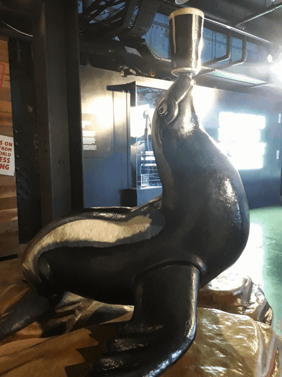 Foca de Guinness