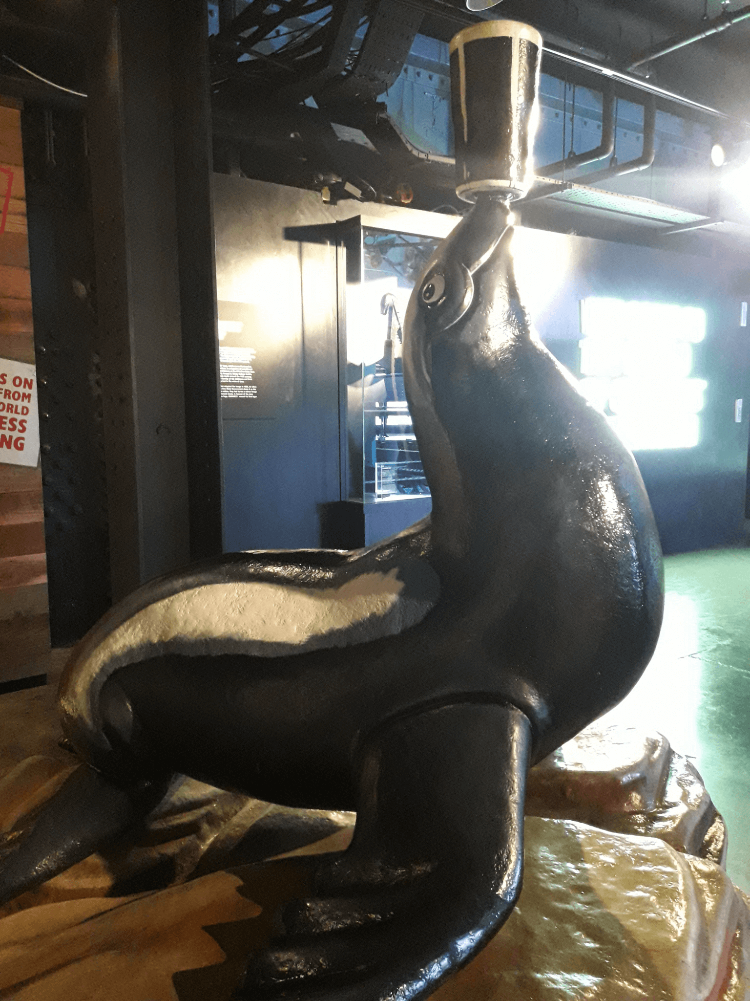 Foca Guinness