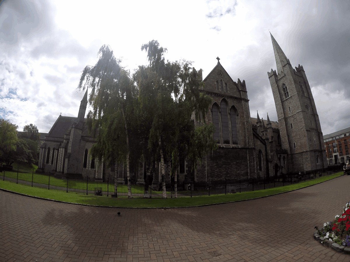 St. Patrick's Cathedral - Catedral de San Patricio