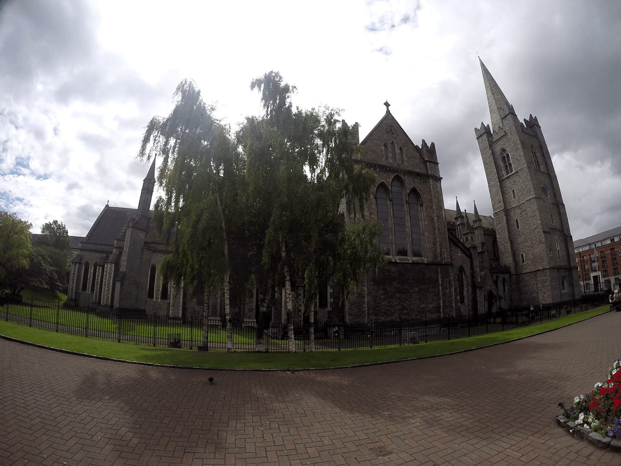 St. Patrick's Cathedral - Catedral de San Patricio