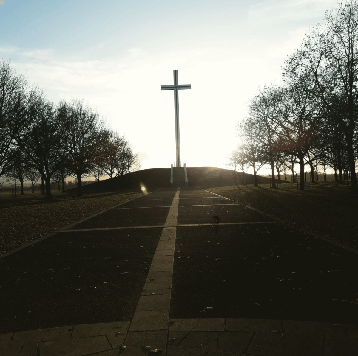 Cruz en el Parque de Irlanda