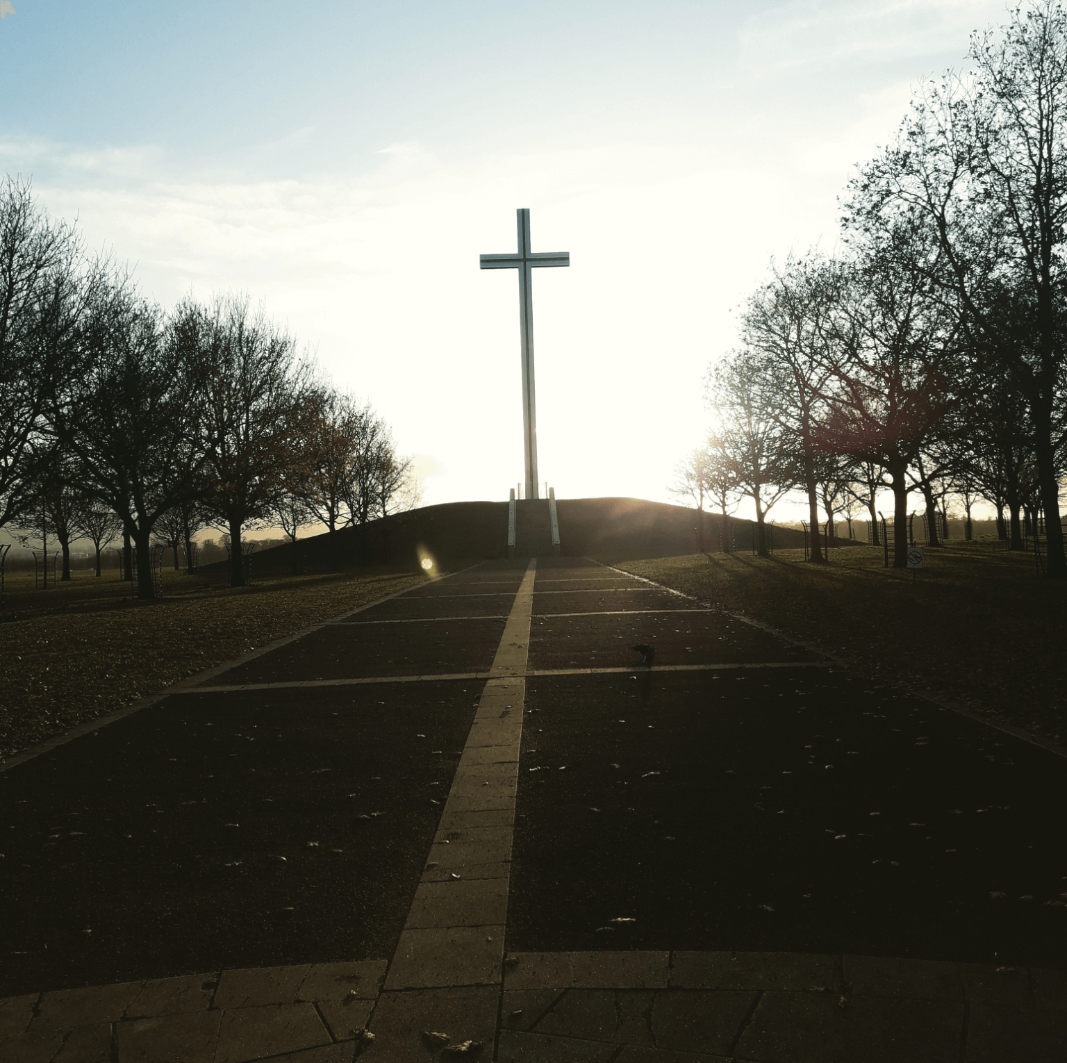 Cruz en el Parque de Irlanda
