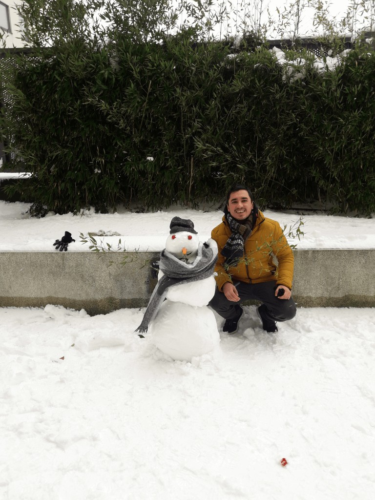 Hombre de Nieve en Dublin
