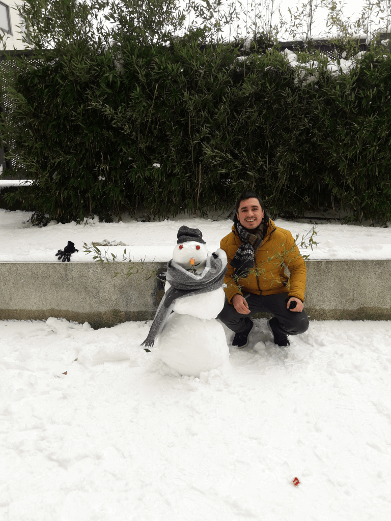 Hombre de Nieve en Dublin