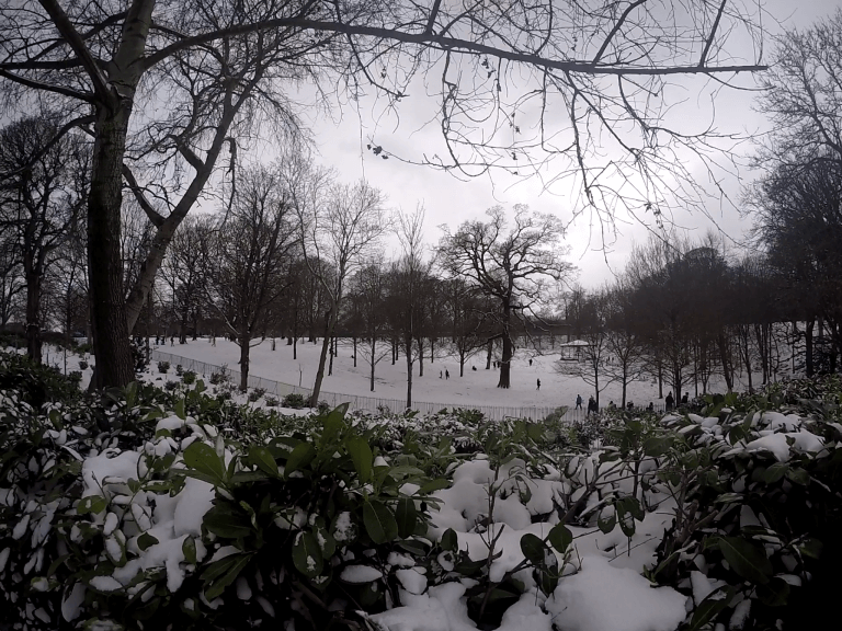 Nieve en los parque de la ciudad