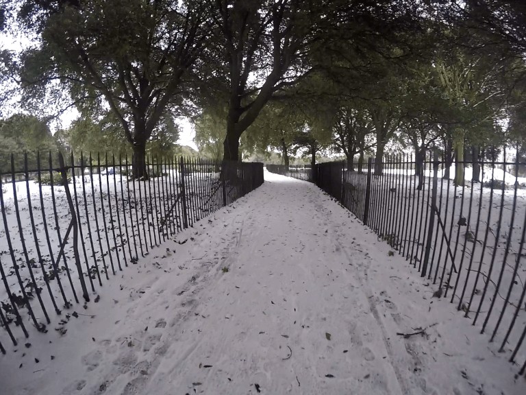 Nevada en irlanda