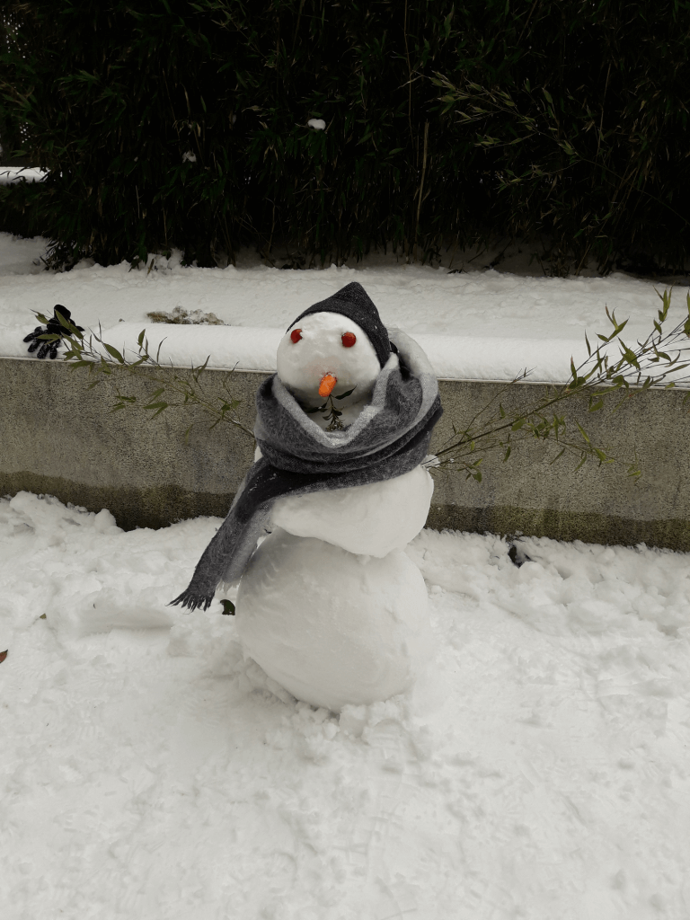 Hombre de Nieve en Dublin, Irlanda