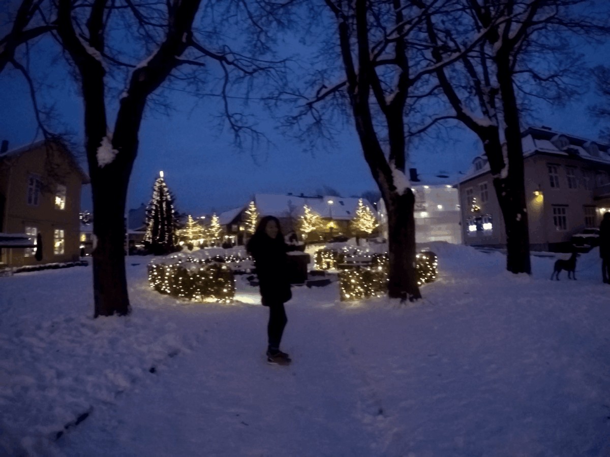 Drøbak: El pueblo más Bello de Noruega