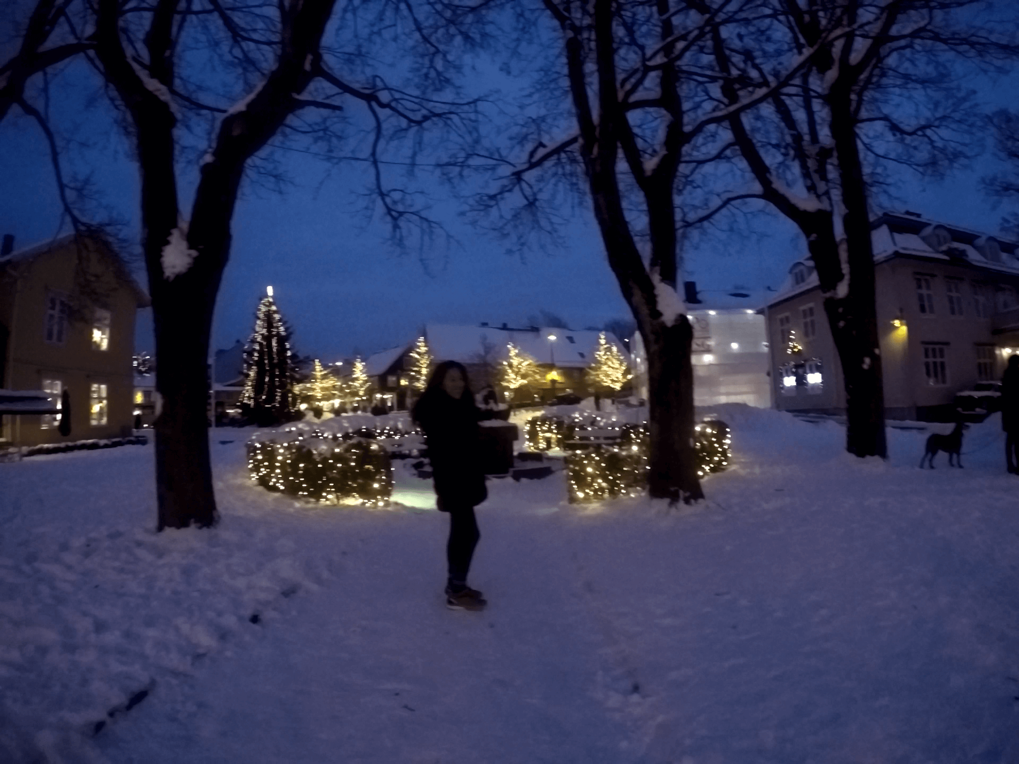 Drøbak: El pueblo más Bello de Noruega