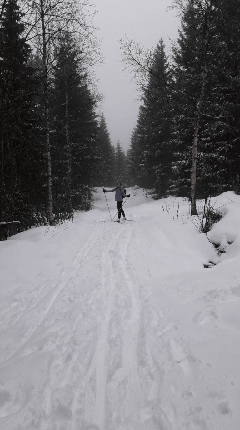 Esquiando Oslo, Noruega