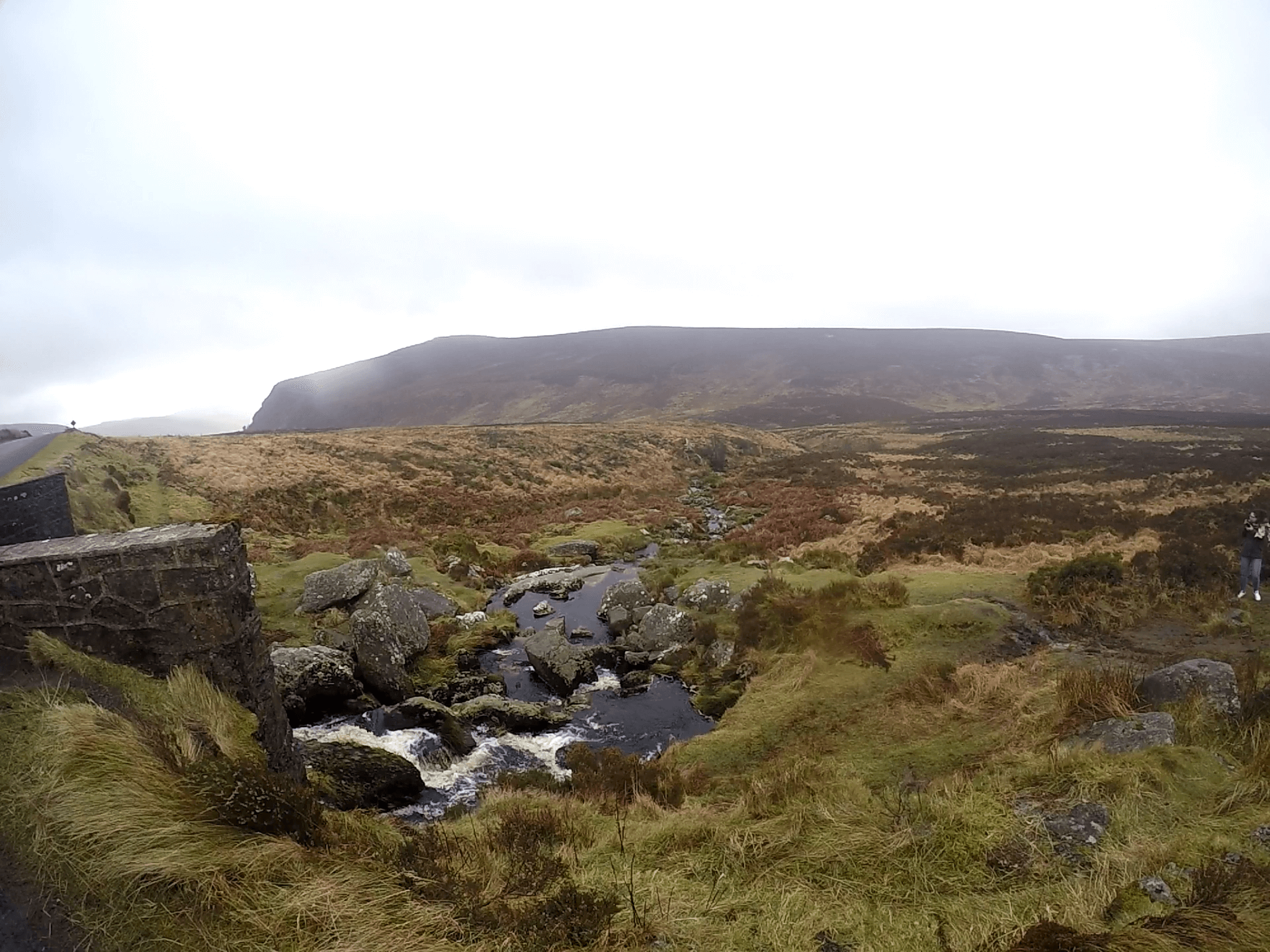 Wicklow y Glendalough: Un viaje por la Naturaleza de Irlanda