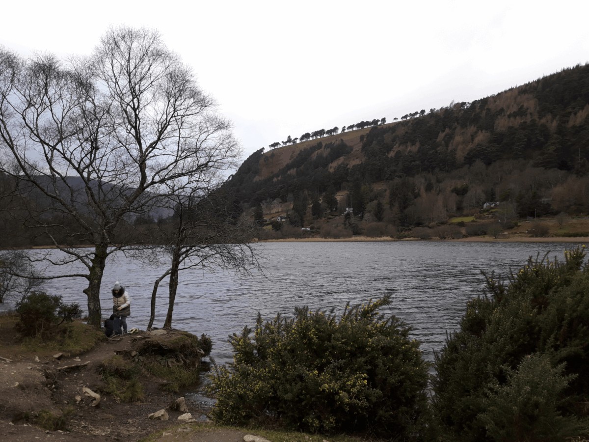 Wicklow es conocido en Irlanda como el jardín irlandés