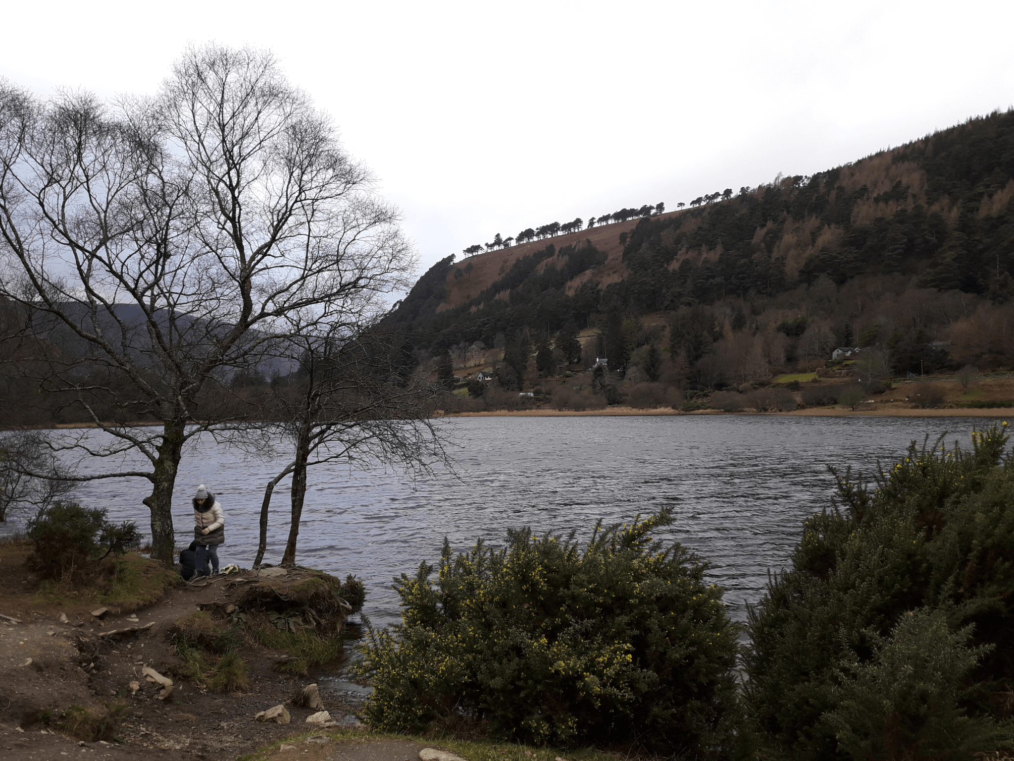 Wicklow es conocido en Irlanda como el jardín irlandés