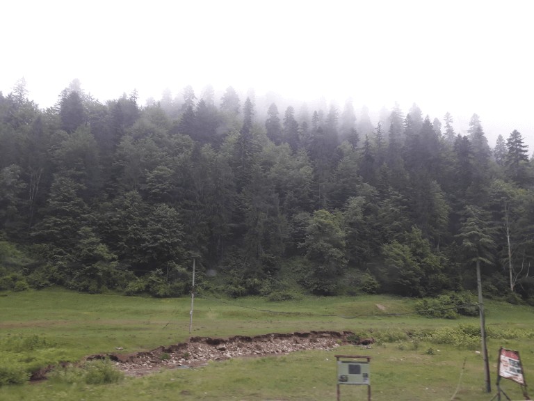 naturaleza en Rumania en Transilvania