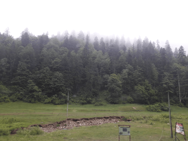 naturaleza en Rumania en Transilvania