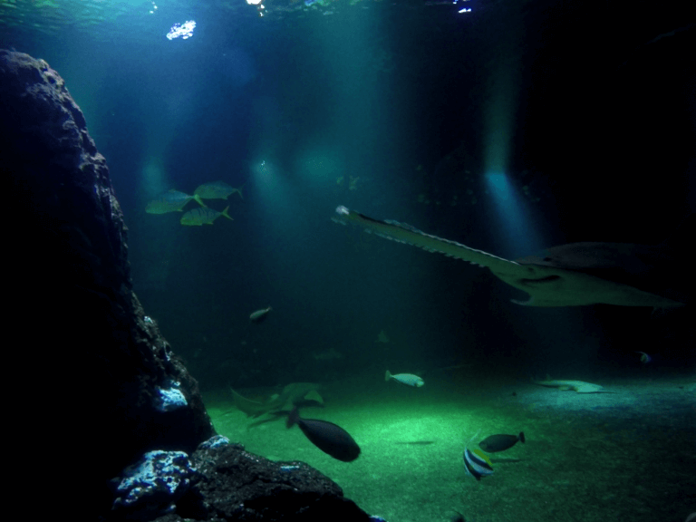 Universeum Gotemburgo