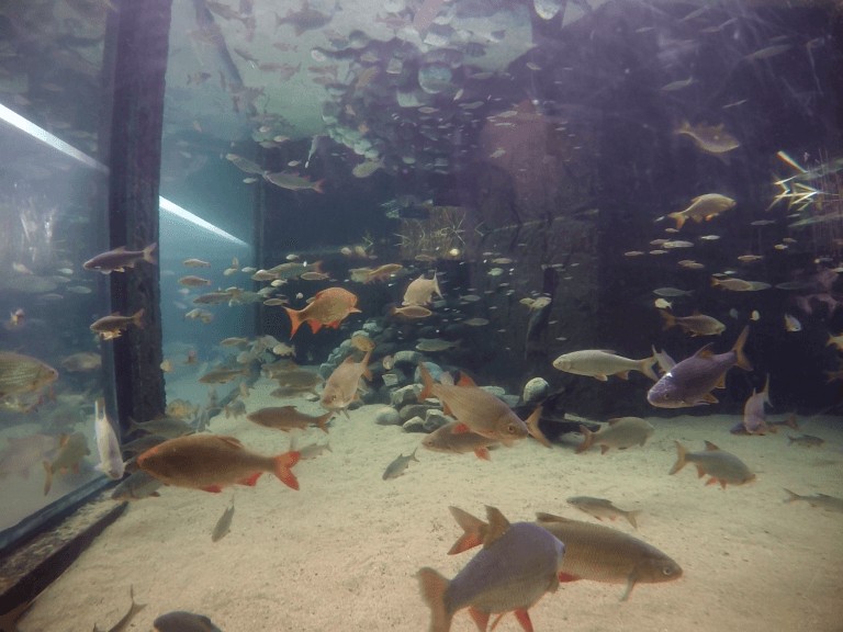 Universeum Gotemburgo