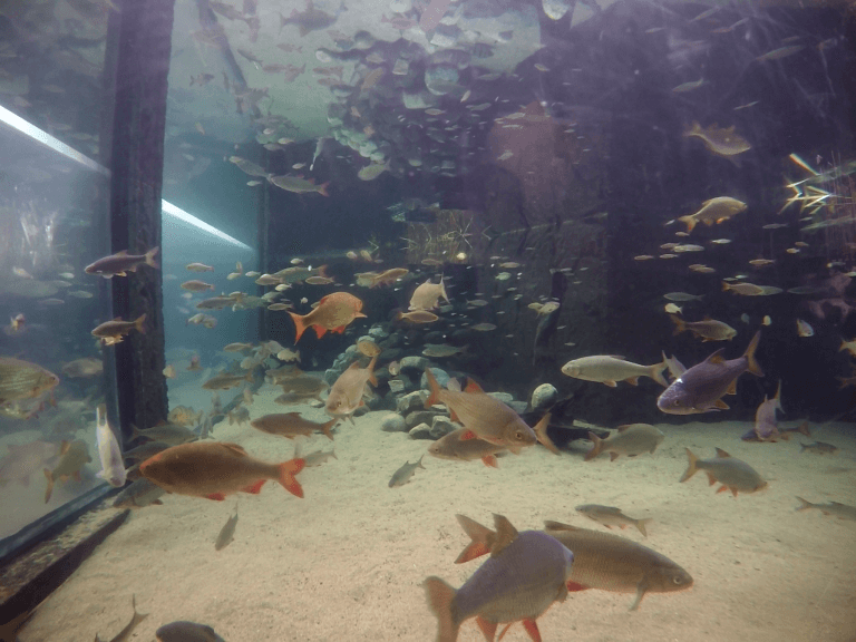 Universeum Gotemburgo