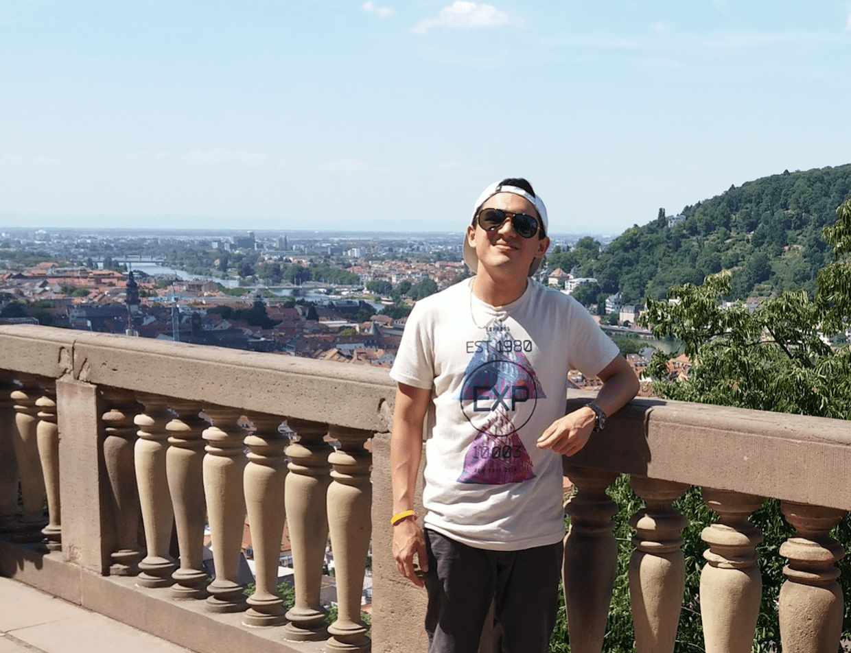 Vistas desde el Castillo de Heidelberg