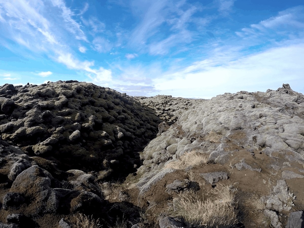 Skaftáreldahraun: Campos de Lava cubiertos de Musgo - Islandia