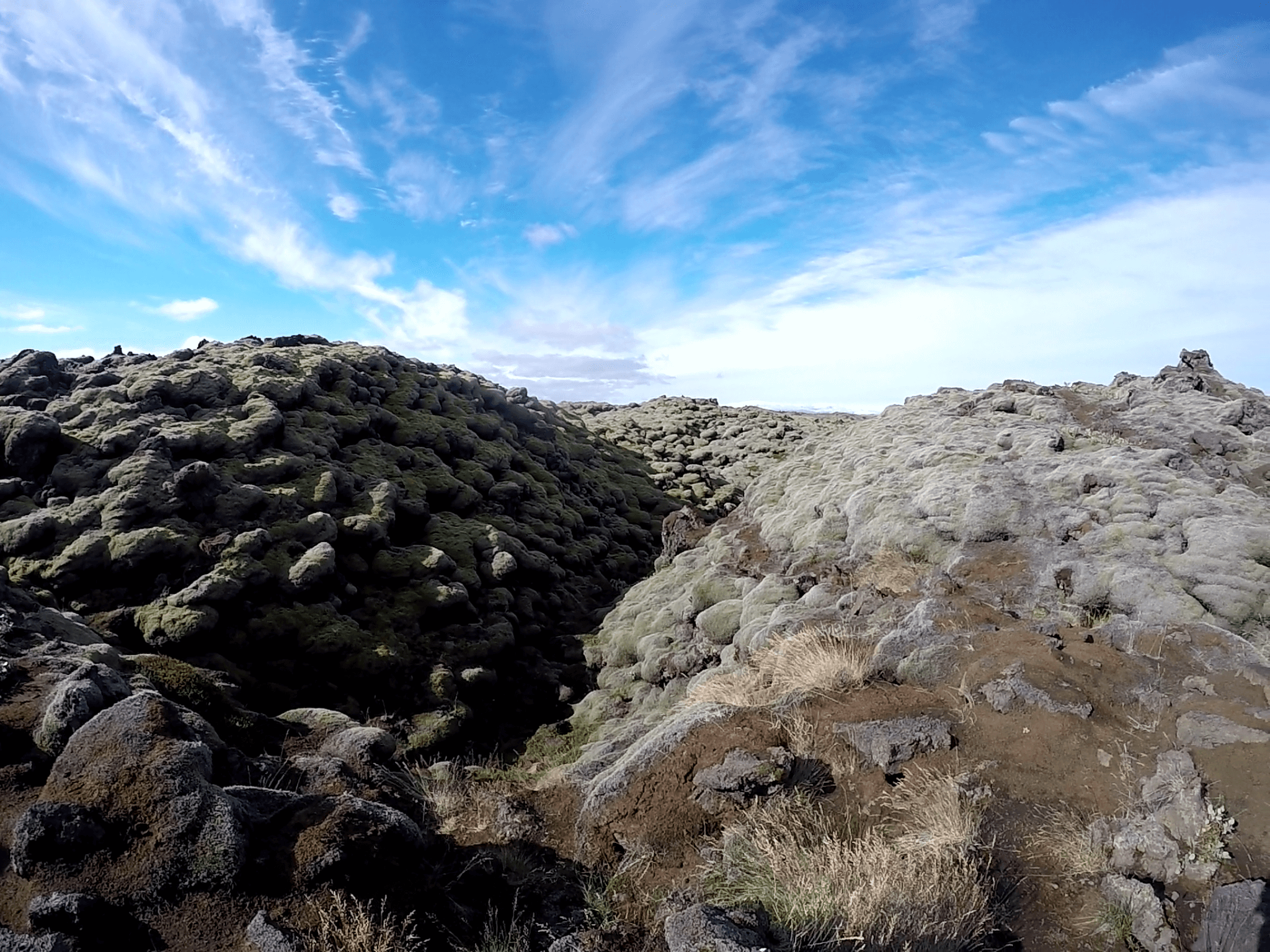 Skaftáreldahraun: Campos de Lava cubiertos de Musgo - Islandia