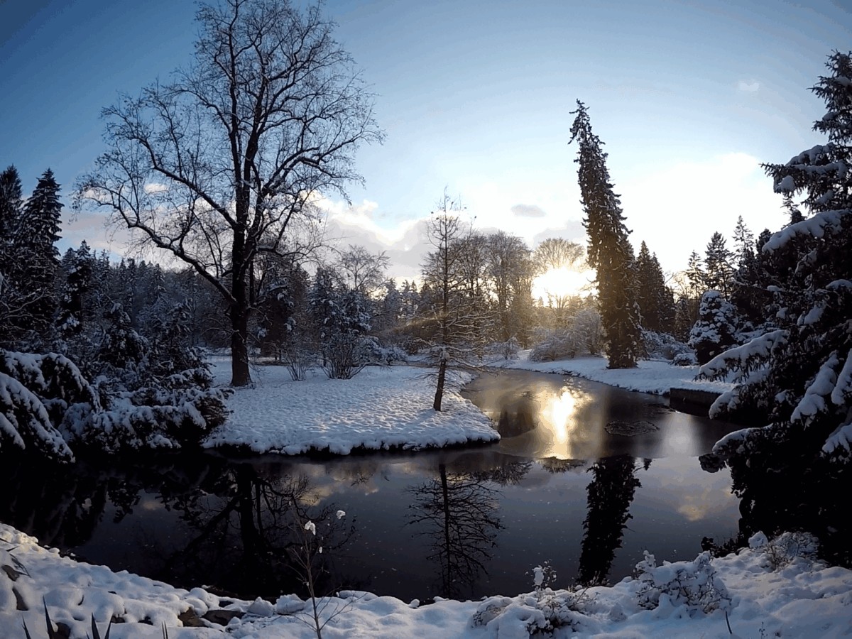Invierno en el parque