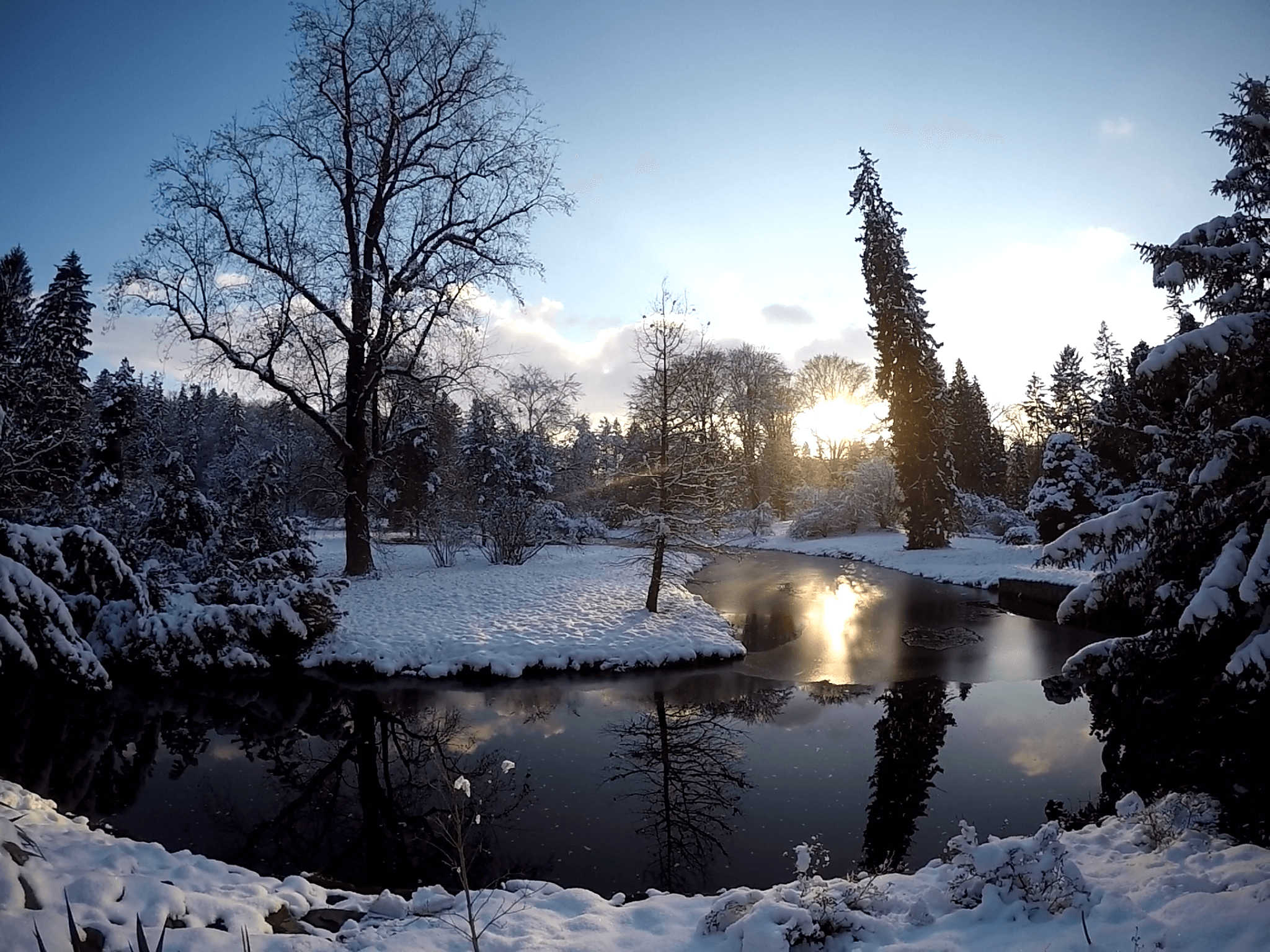 Invierno en el parque