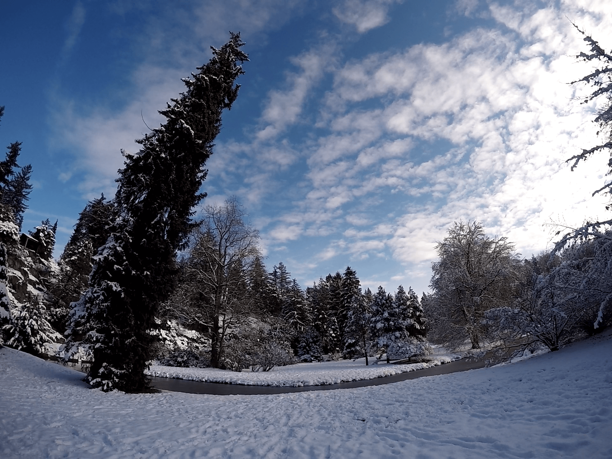 Visita la naturaleza del parque en invierno