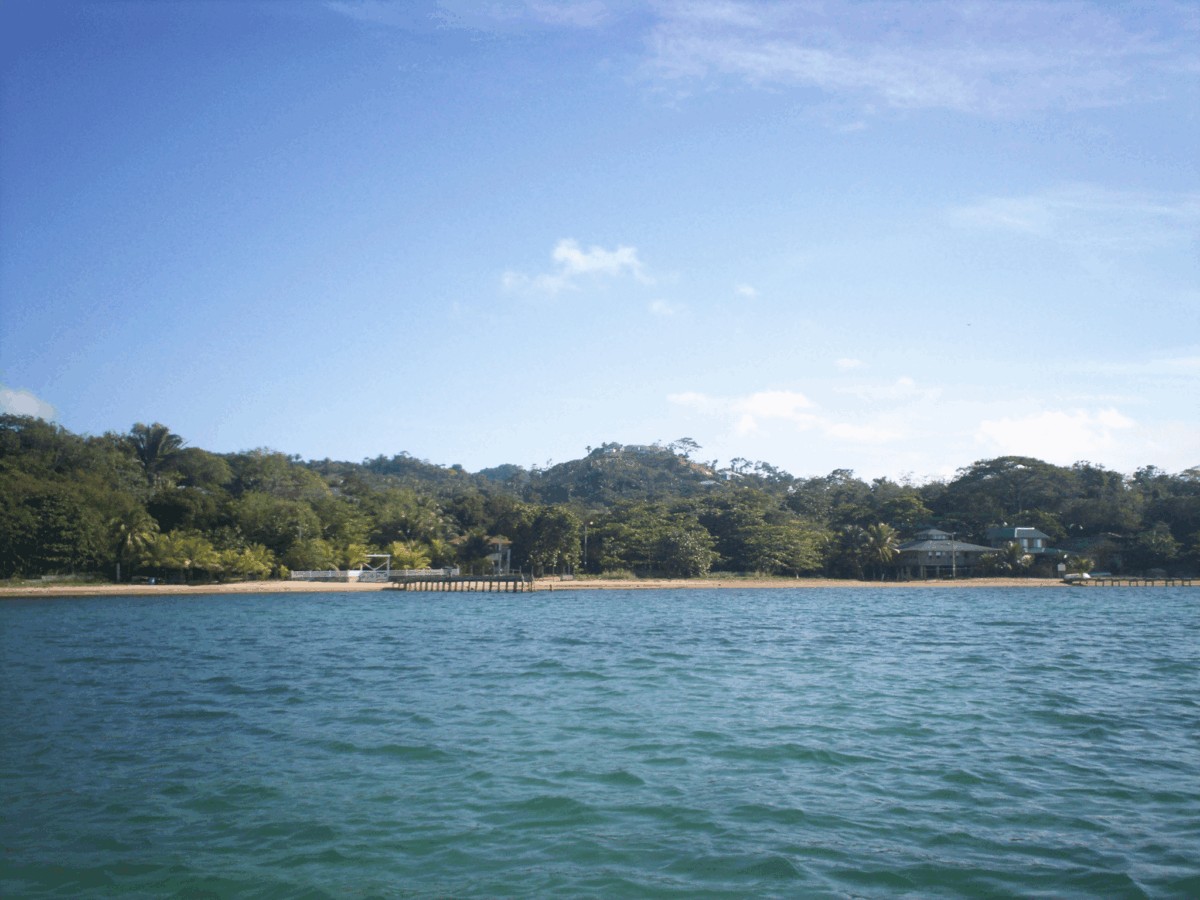 ¿Qué hacer en Roatán?