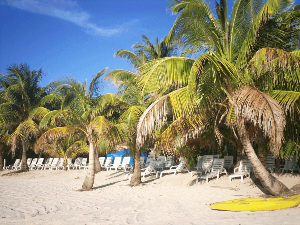 Roatán: La Joya Hondureña del Caribe - Honduras