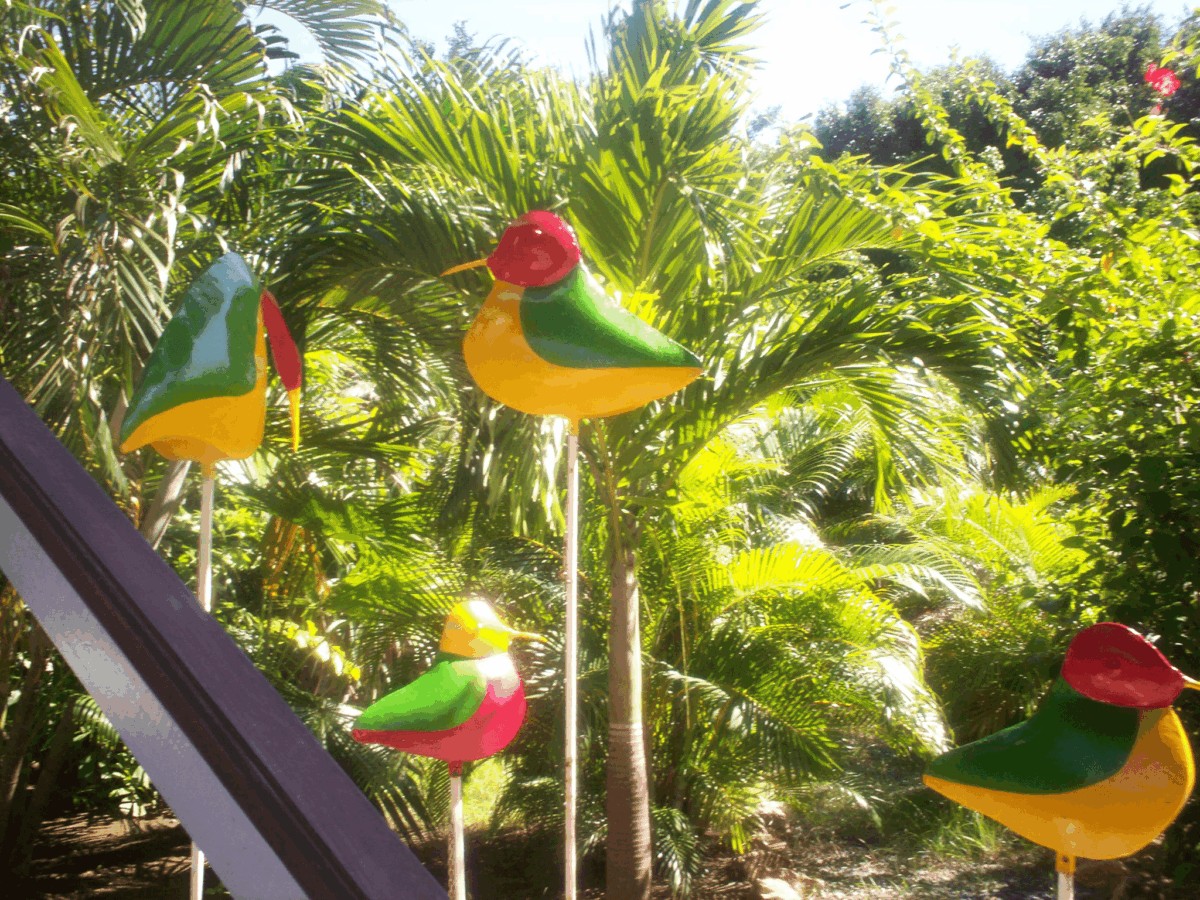 Otras Atracciones en Roatán