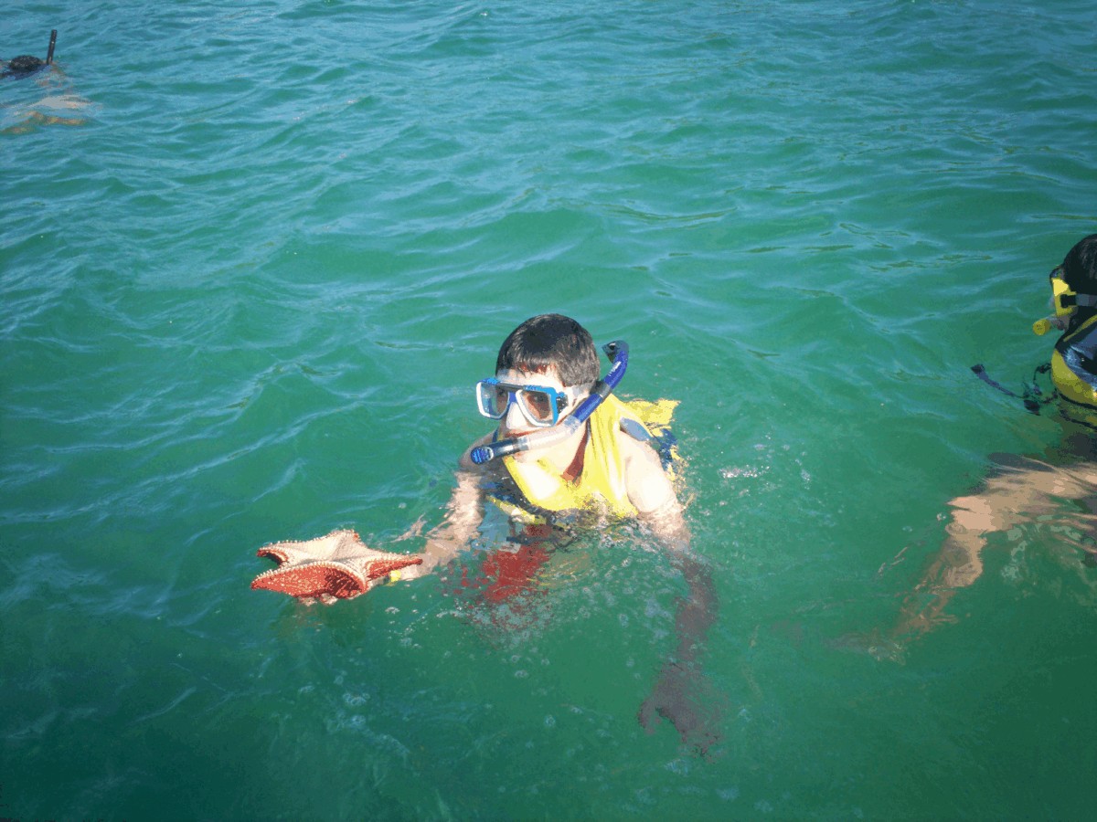 Buceo en Roatán - Qué ver en Roatán Honduras