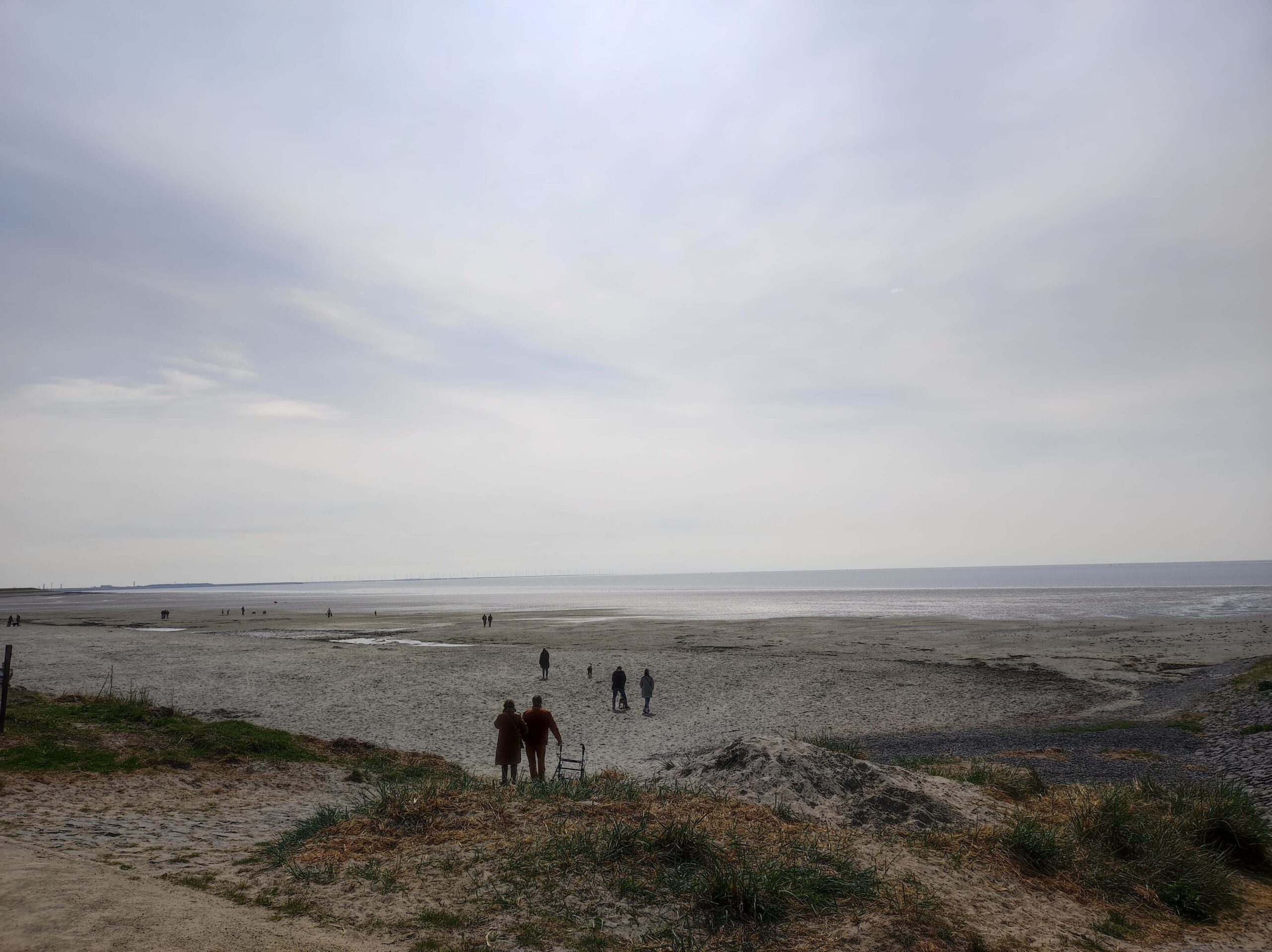 Playa de Harlingen en Holanda