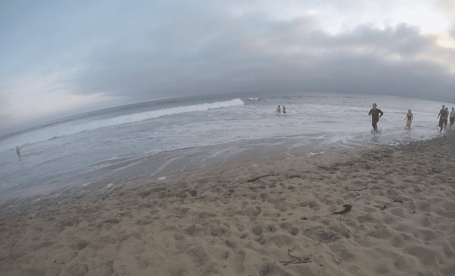 Playas más Animadas de Los Ángeles: Santa Mónica y Venice Beach