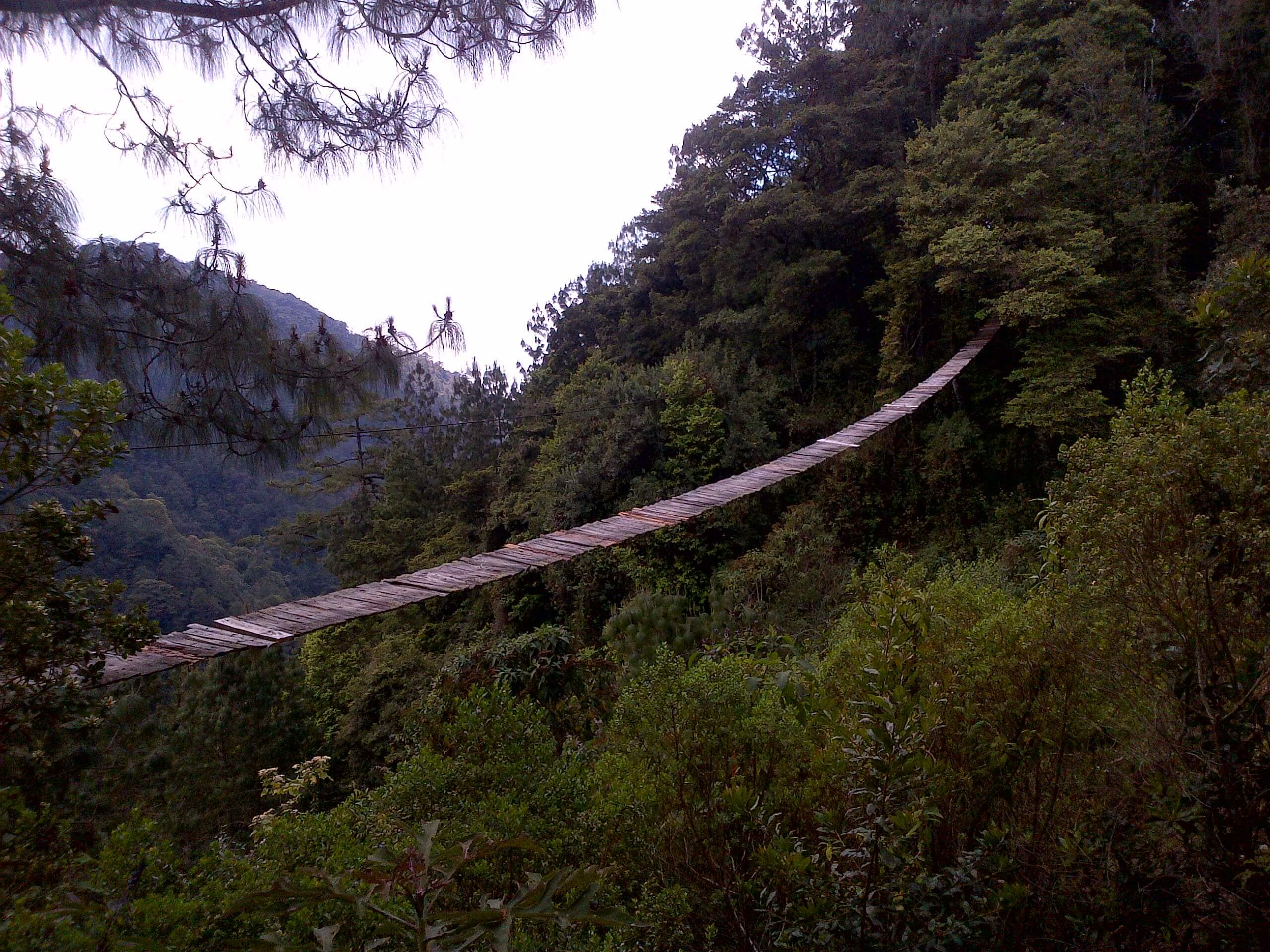 Visitar el Parque Ecológico Pino Dulce