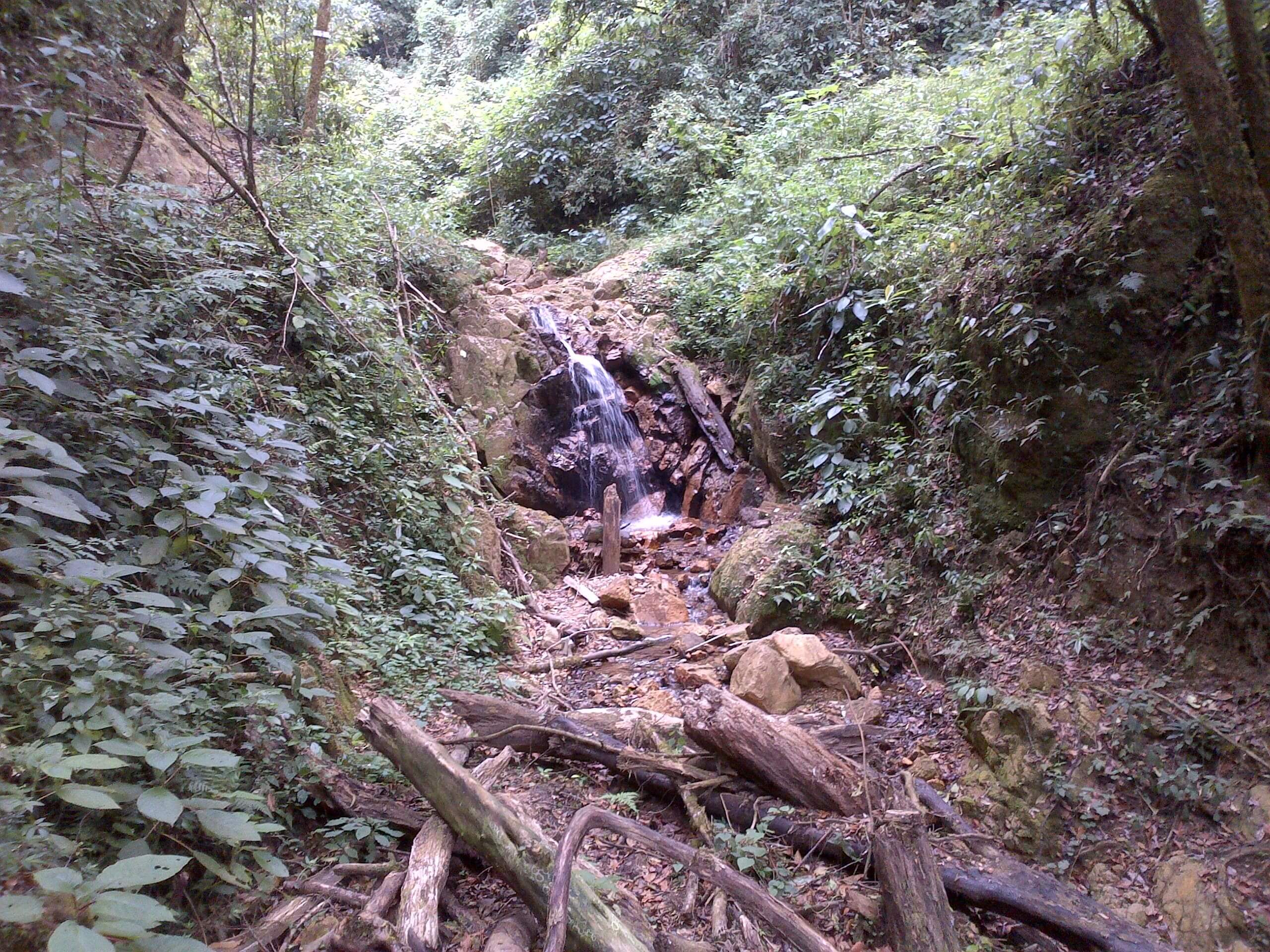 Visitar el Parque Ecológico en Guatemala
