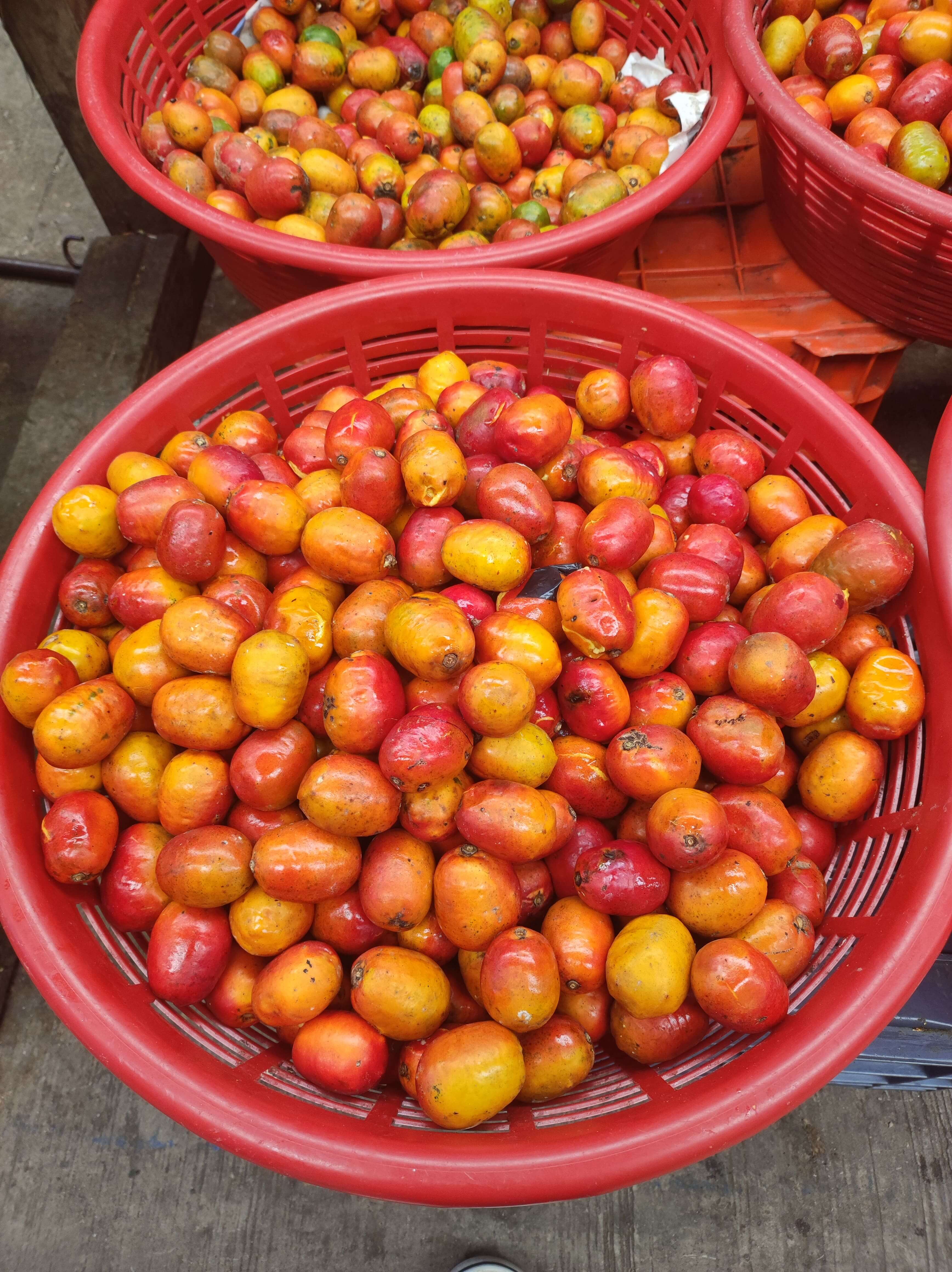 Frutas en Guatemala (Jocotes)