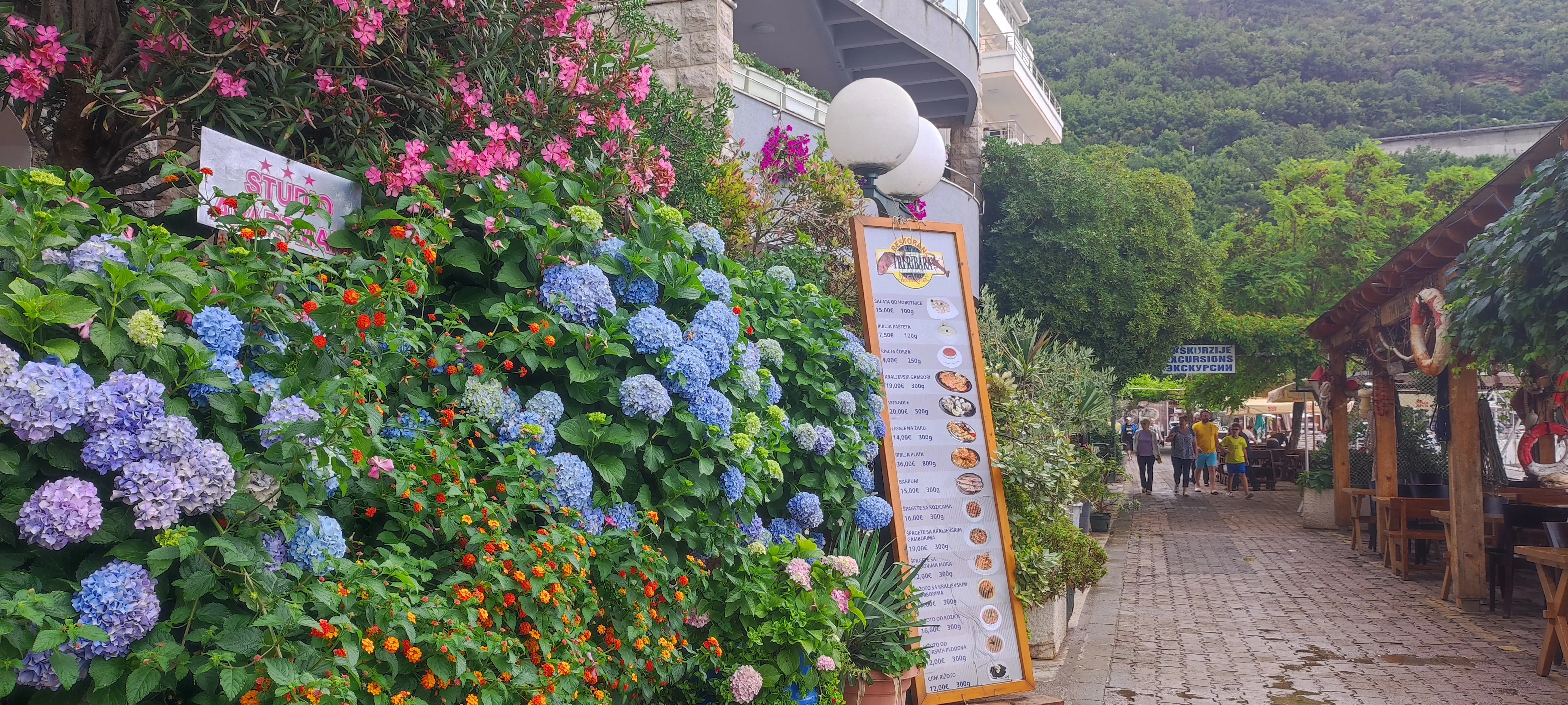 Gastronomía Montenegrina