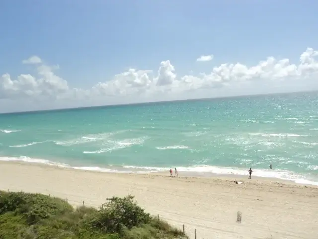 Qué hacer en Miami