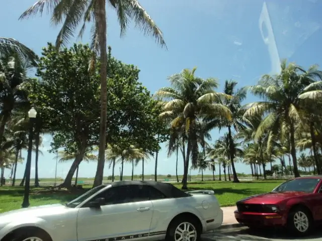Visitar la naturaleza en Miami