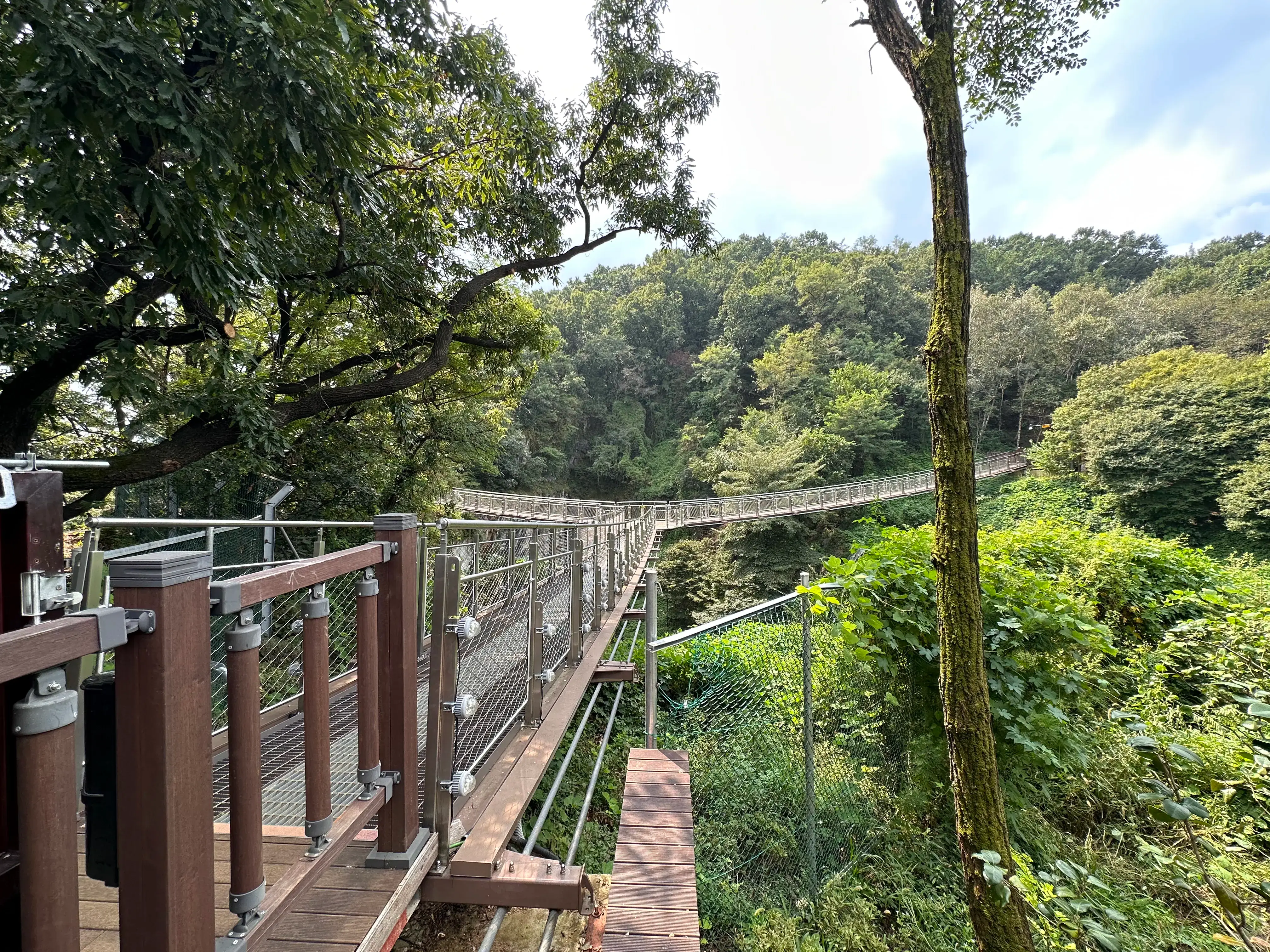 Encanto del Parque Dodeoksan