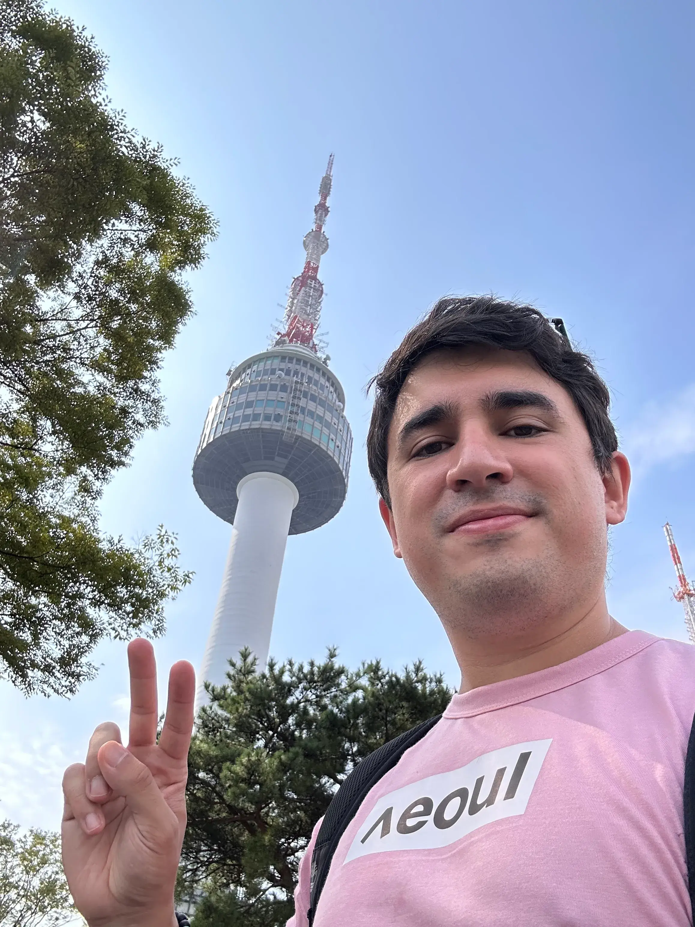 N Seoul Tower: Un Icono de Seúl