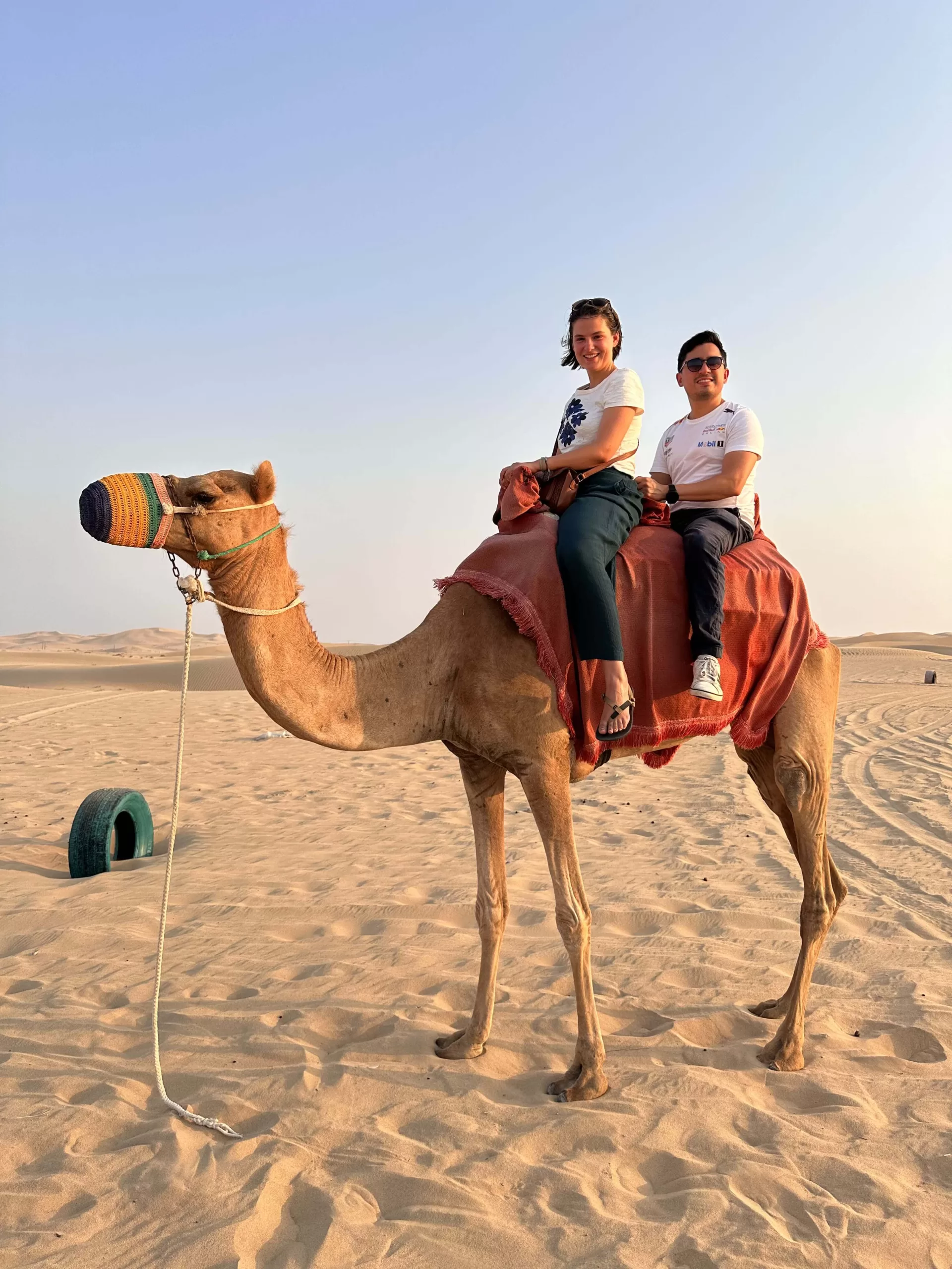 Los Emiratos Árabes Unidos: Un hogar desértico