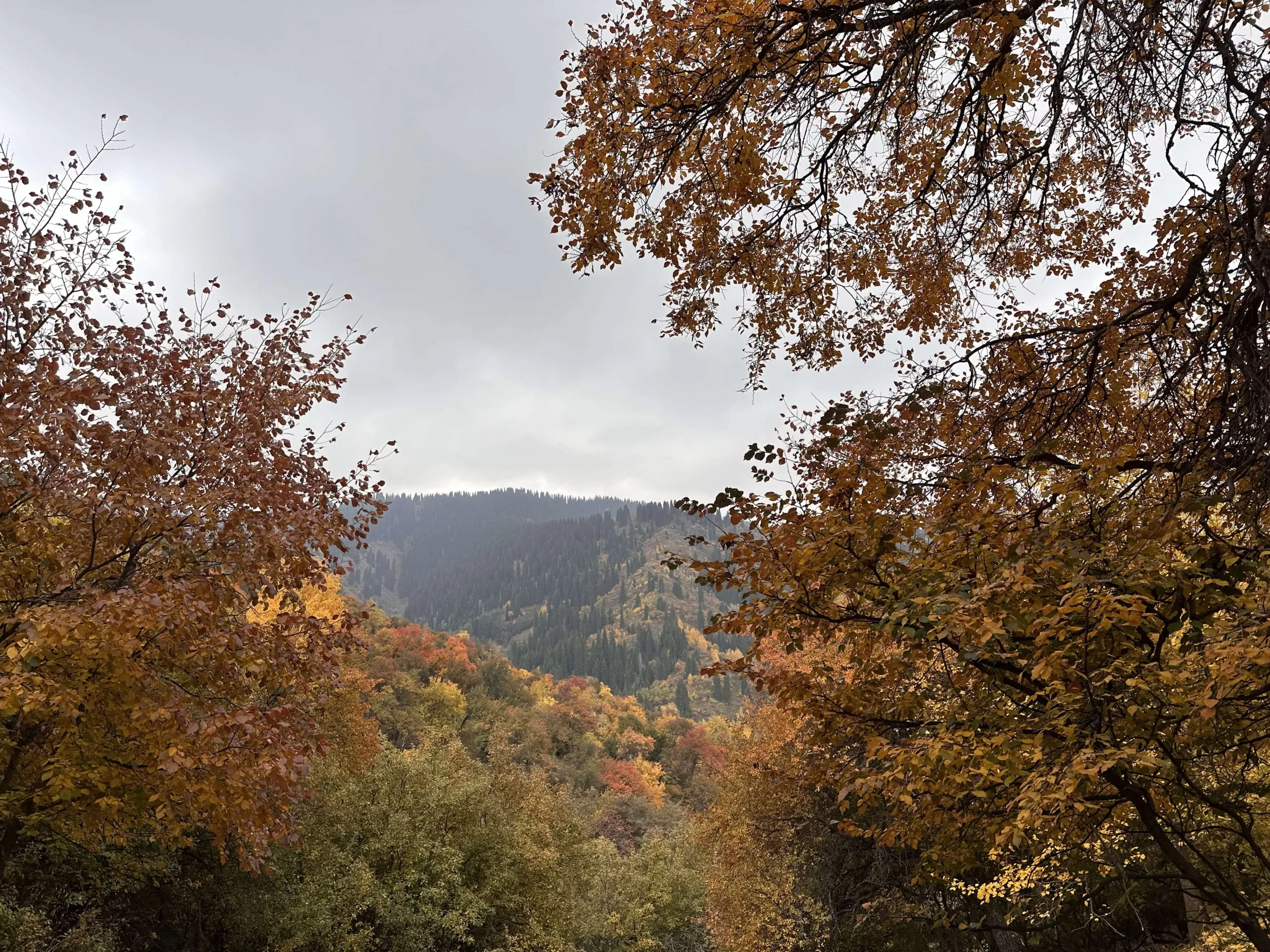 Visitar Kazajistán en Otoño | Guía