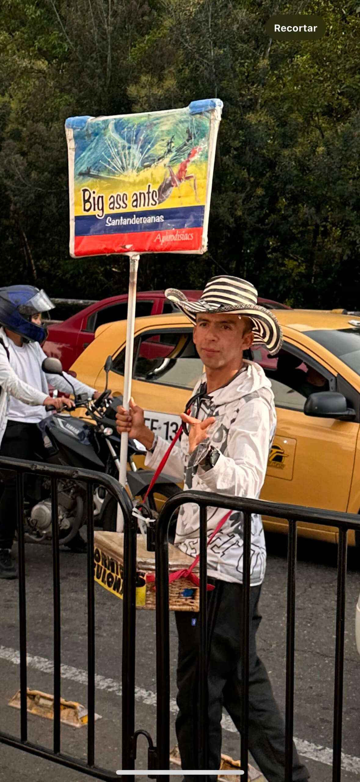 Venta de hormigas culonas en Colombia