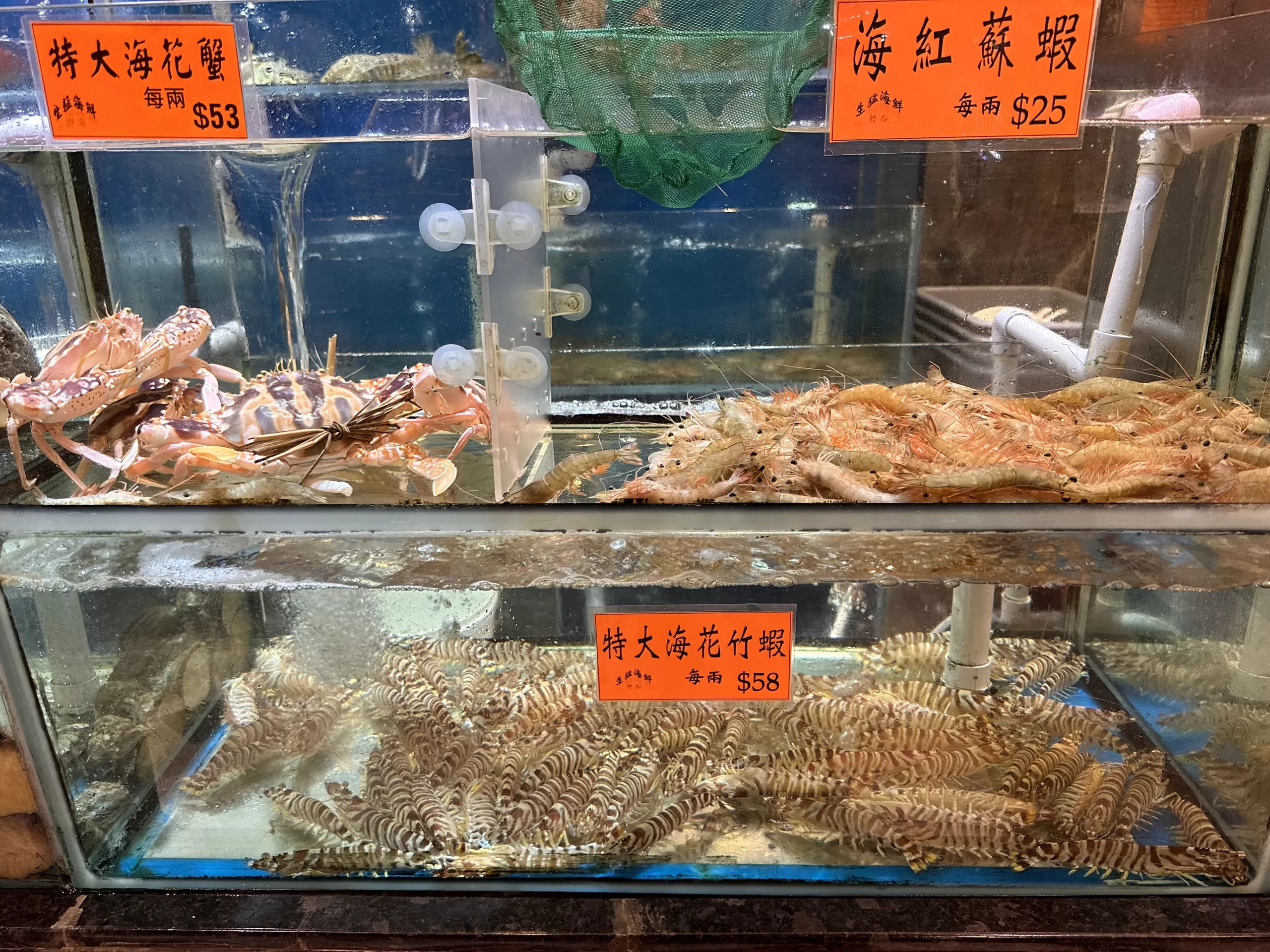 Mariscos en Macao