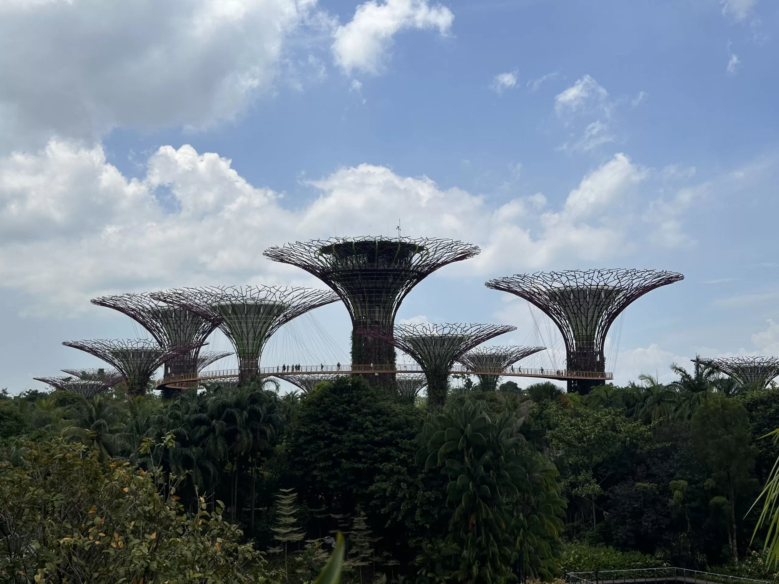 Supertree Groove en Singapur
