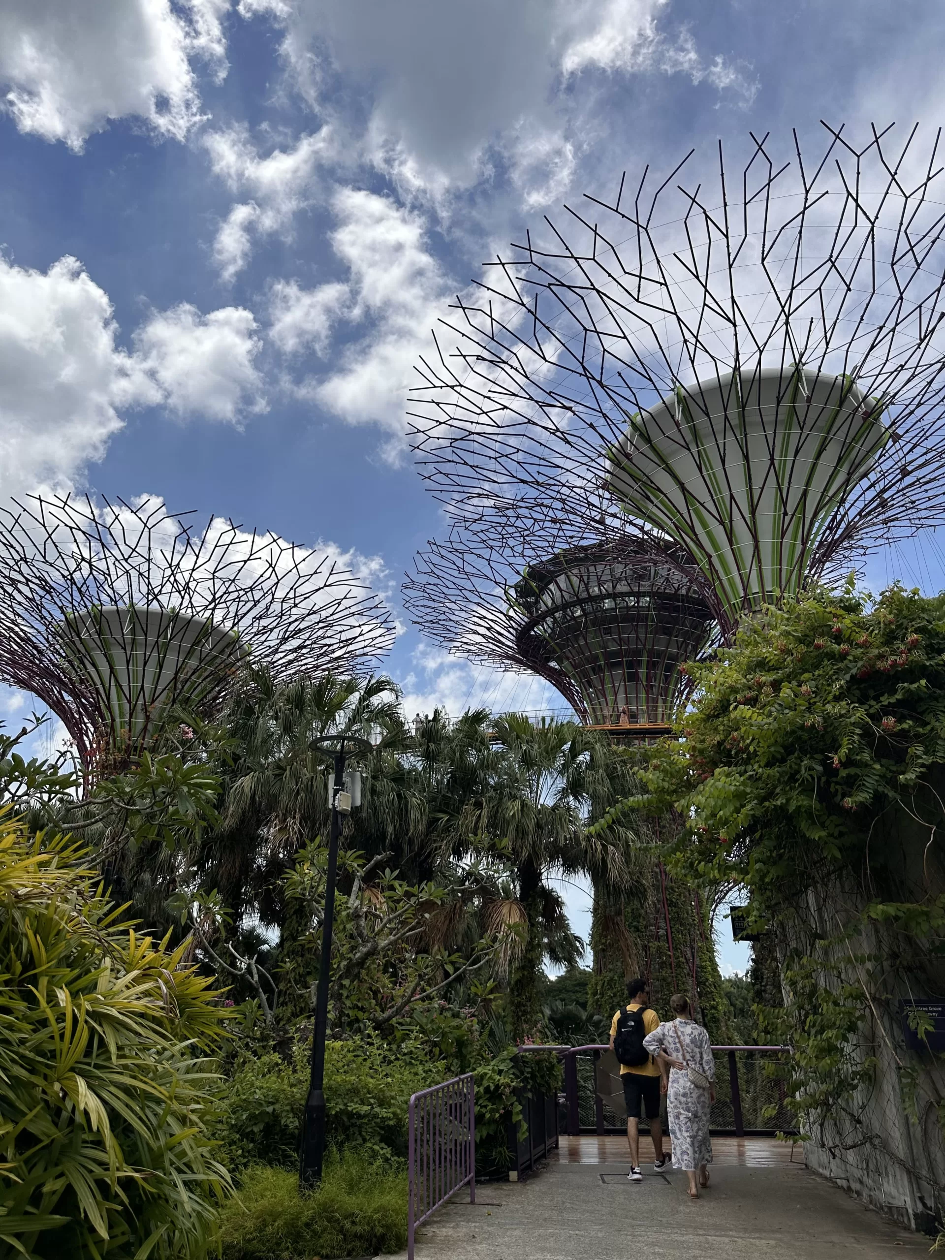 Supertrees Groove en Singapur
