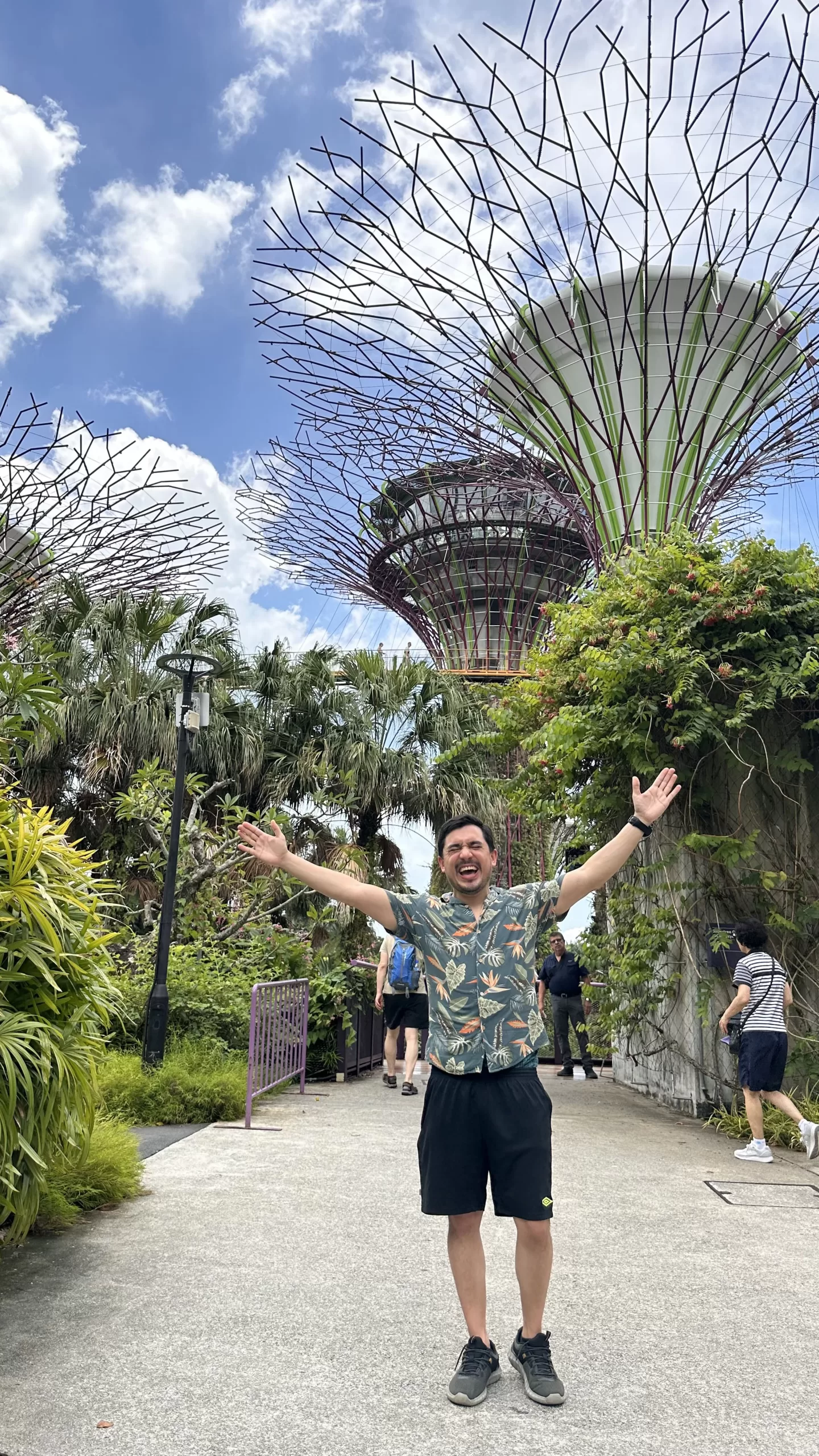 Disfrutando de una visita a los Supertrees en Singapur