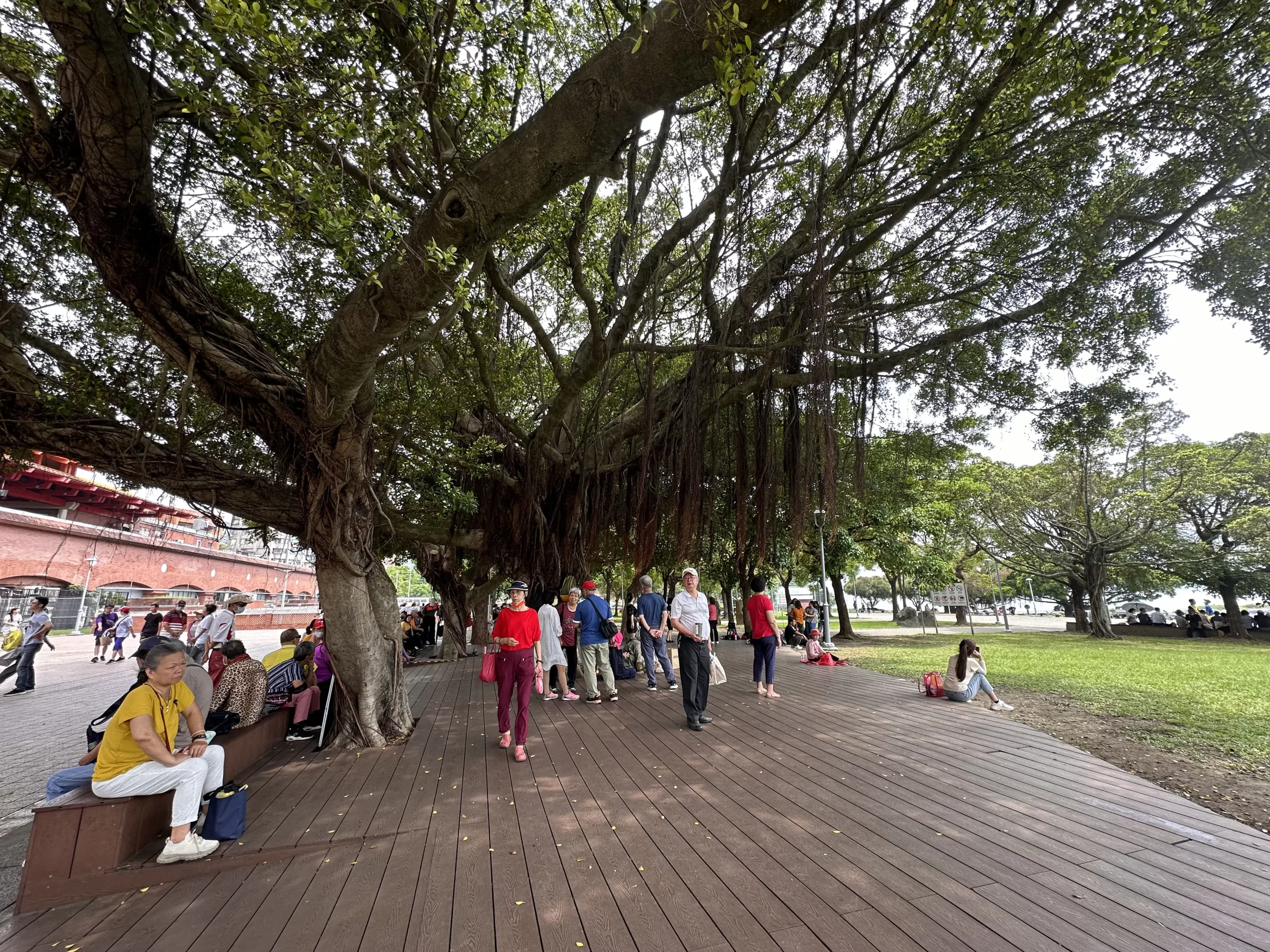 Parque Nacional Yangmingshan